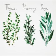 Obraz tlačený na plátne 28x28 PRC1065