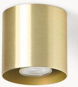 Stropná bodová lampa Roda