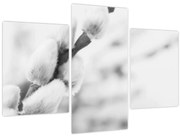 Obraz - Začiatok jari (90x60 cm)