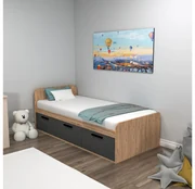 Jednolôžková posteľ 90 cm Pelavi 1 (borovica atlantická + antracit) (s roštom). Vlastná spoľahlivá doprava až k Vám domov. 1094838