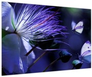 Obraz - Tropický kvet (90x60 cm)