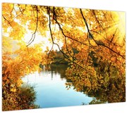 Obraz - Jesenný strom (70x50 cm)