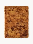 Lesklý koberec's vysokým vlasom Jimmy