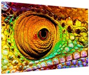 Obraz - Chameleon (90x60 cm)