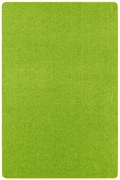 Kusový koberec Nasty 101149 Grün, 67x120, zelená, chodba / predsieň, Hanse Home