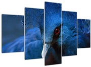 Obraz - Holub korunovaný (150x105 cm)