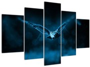 Obraz letiacej sovy (150x105 cm)