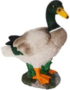 Záhradná dekorácia Káčer, 21 x 11,5 x 26,5 cm, polyresin