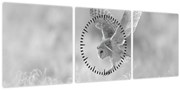 Obraz - Sova v poli (s hodinami) (90x30 cm)
