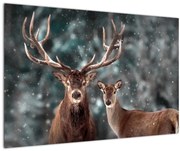 Obraz - Jeleň a laň v zasneženom lese (90x60 cm)