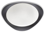 Redo 05-922 - LED Stropné svietidlo VERENA LED/24W/230V antracit