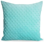 Dekorstudio Dekoračný vankúš MINKY 21 v mätovej farbe Varianta: Rozmer obliečky: 40x40 cm