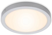 Briloner 7141-014 - LED Stropné svietidlo FIRE LED/21W/230V 3000K