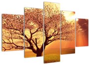 Obraz lúčov Boha (150x105 cm)