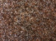 Metrážny koberec Rambo 80 hnedý