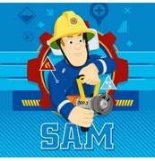 FARO Detský uterák Sam 30x30 cm