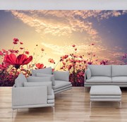 Fototapeta - Rozkvitnutá lúka (147x102 cm)