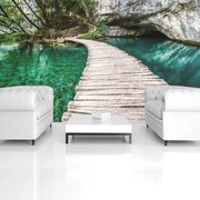 Fototapeta - Lávka (254x184 cm)