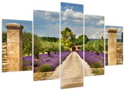 Obraz - Levanduľové cesty (150x105 cm)