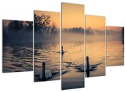 Obraz labutí na vode v hmle (150x105 cm)