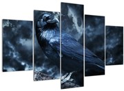 Obraz - Havran (150x105 cm)