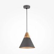 Závesné svietidlo Maytoni Bicones P359-PL-220-C