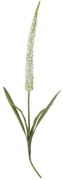 Bloomingville Umelá kvetina Foxtail White 73 cm