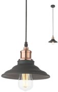 Redo 01-1292 - Luster na lanku SPINNER 1xE27/42W/230V