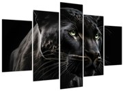 Obraz - Čierny panter (150x105 cm)
