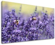 Obraz na stenu KVETY | rôzne rozmery