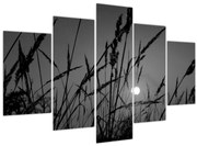 Obraz - Lúka so západom slnka (150x105 cm)