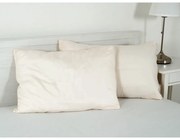 Obliečka na vankúš z mikrovlákna 45x75 cm Summer – B.E.S.