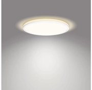 Philips- LED Stmievateľné stropné svietidlo OZZIET SCENE SWITCH LED/18W/230V 4000K