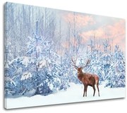 Obraz na stenu ZVIERATÁ_053-11 | rôzne rozmery