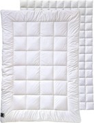 XXXLutz PRIKRÝVKA NA 4 ROČ. OBDOBIA, 135/200 cm, duté vlákno Billerbeck - Prikrývky & vankúše - 003279011901