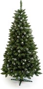 Vianočný stromček- Borovica Iza 240cm