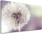 Obraz na stenu KVETY KV065E11 - 100x150 cm