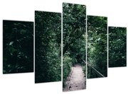 Obraz - Cesta lesom (150x105 cm)