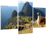 Obrázok - Lama a Machu Picchu (90x60 cm)