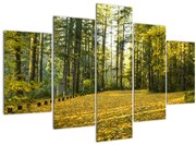 Obraz - les v jeseni (150x105 cm)