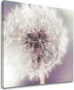 Obraz na stenu KVETY KV065E12 - 30x30 cm