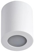 Kanlux 29241 - Kúpeľňové stropné svietidlo SANI 1xGU10/10W/230V IP44 biela