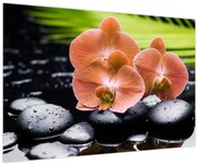 Obraz - Oranžová orchidea s palmovými listami (90x60 cm)