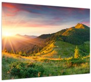 Obraz - Letná krajina (70x50 cm)