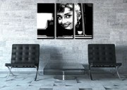 Ručne maľovaný POP Art obraz Audrey HEPBHURN 3 dielny  ah1