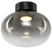 Stropné svietidlo Vaso, 1x grafitové sklenené tienidlo, b