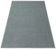 Koberec BRIGHTON 275 sivý