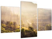 Obraz - Svitanie (90x60 cm)