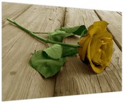 Obraz - Žltá ruža vintage (90x60 cm)