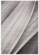 Koberec Noa 9258 sivý